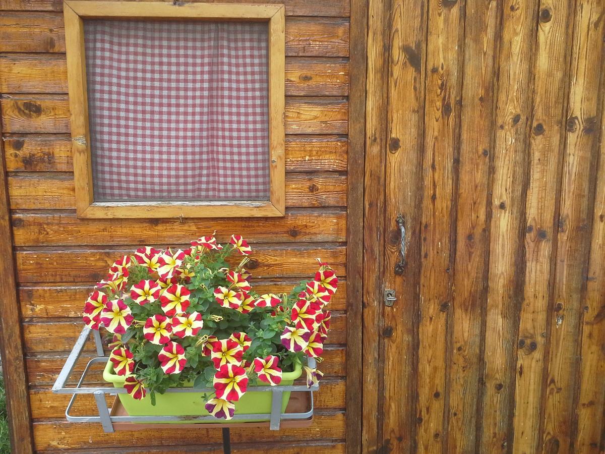 B&B Ciccilia Bentivoglio Buitenkant foto