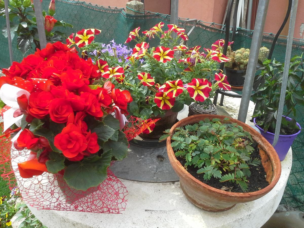 B&B Ciccilia Bentivoglio Buitenkant foto